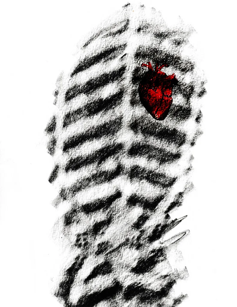 Rib bones study artwork from the Frottage series