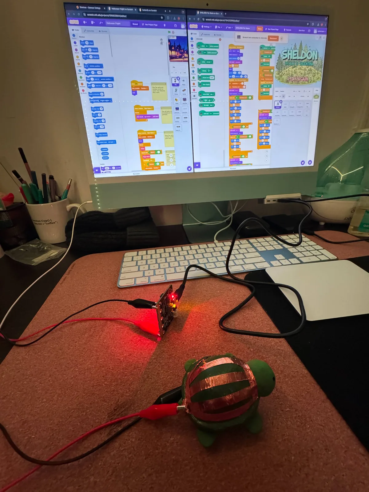 Physical setup linking the clay turtle to the digital game